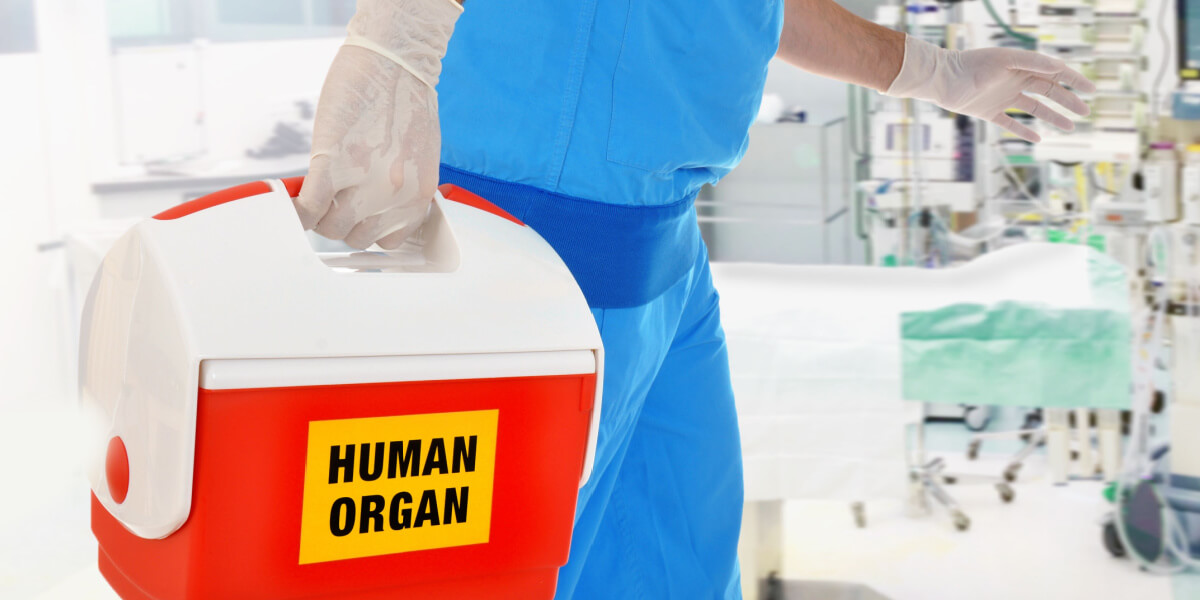 Human Organ Image